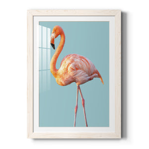 Flamingo - Barnwood