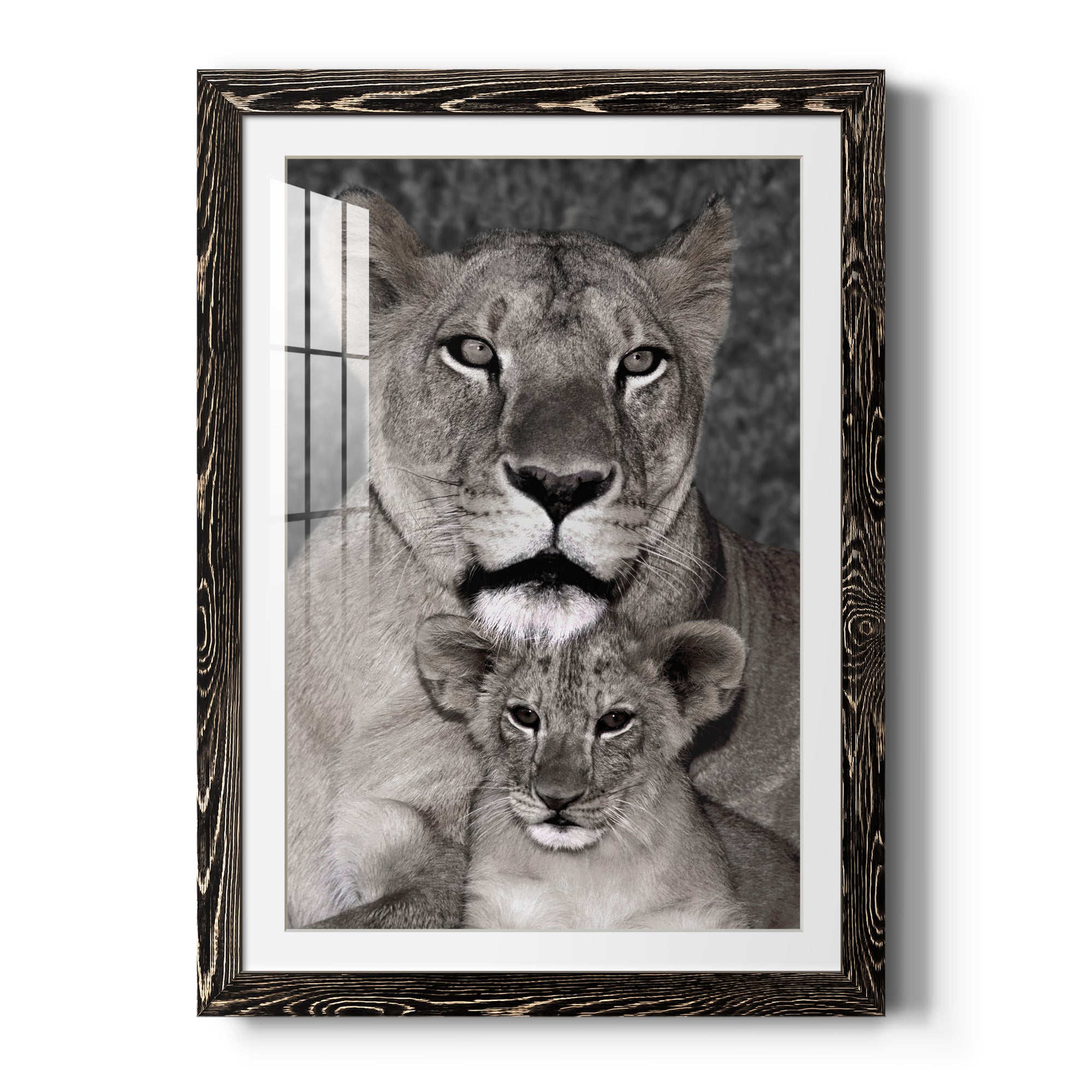 Lioness and Cub - Barnwood Framed Art Print