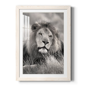Pride of the Pride - Barnwood Framed Art Print