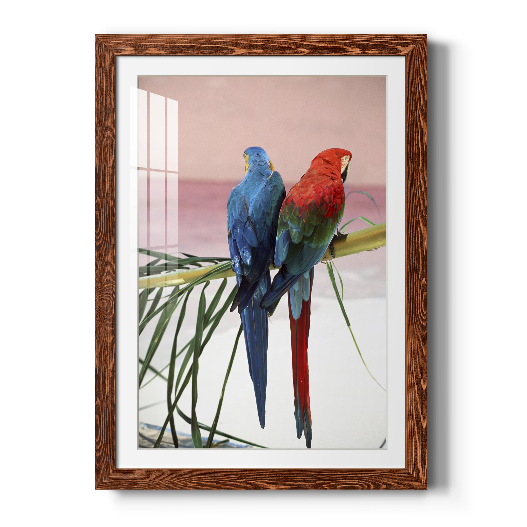 Palm Parrots - Barnwood