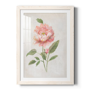 Grandiflora III - Barnwood Framed Art Print