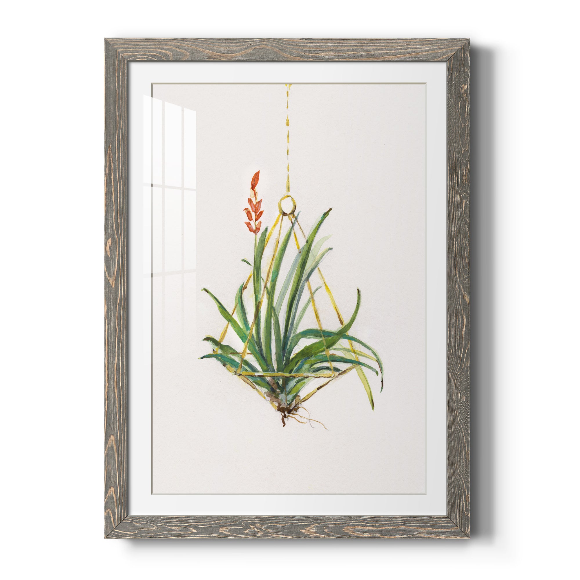 Gardenaire I - Barnwood Framed Art Print