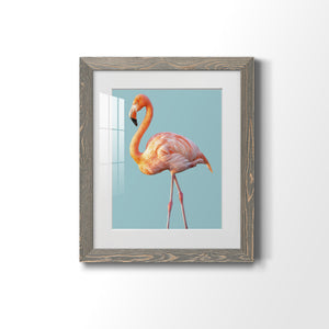 Flamingo - Barnwood