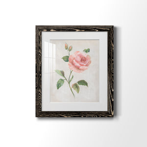 Grandiflora I - Barnwood Framed Art Print