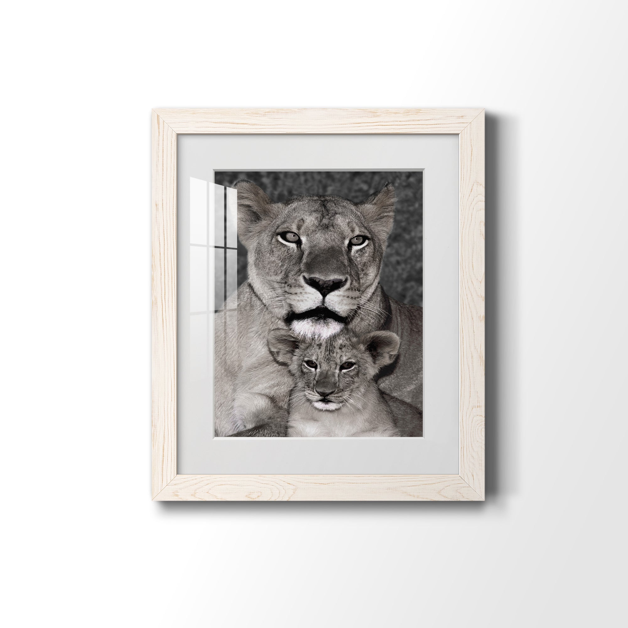 Lioness and Cub - Barnwood Framed Art Print