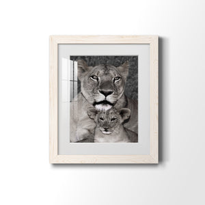 Lioness and Cub - Barnwood Framed Art Print