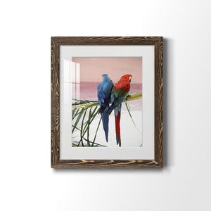 Palm Parrots - Barnwood