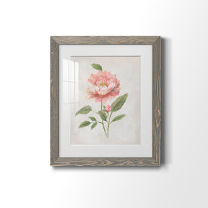 Grandiflora III - Barnwood Framed Art Print