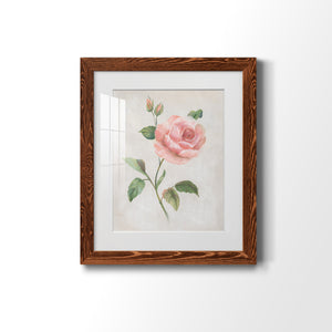 Grandiflora I - Barnwood Framed Art Print
