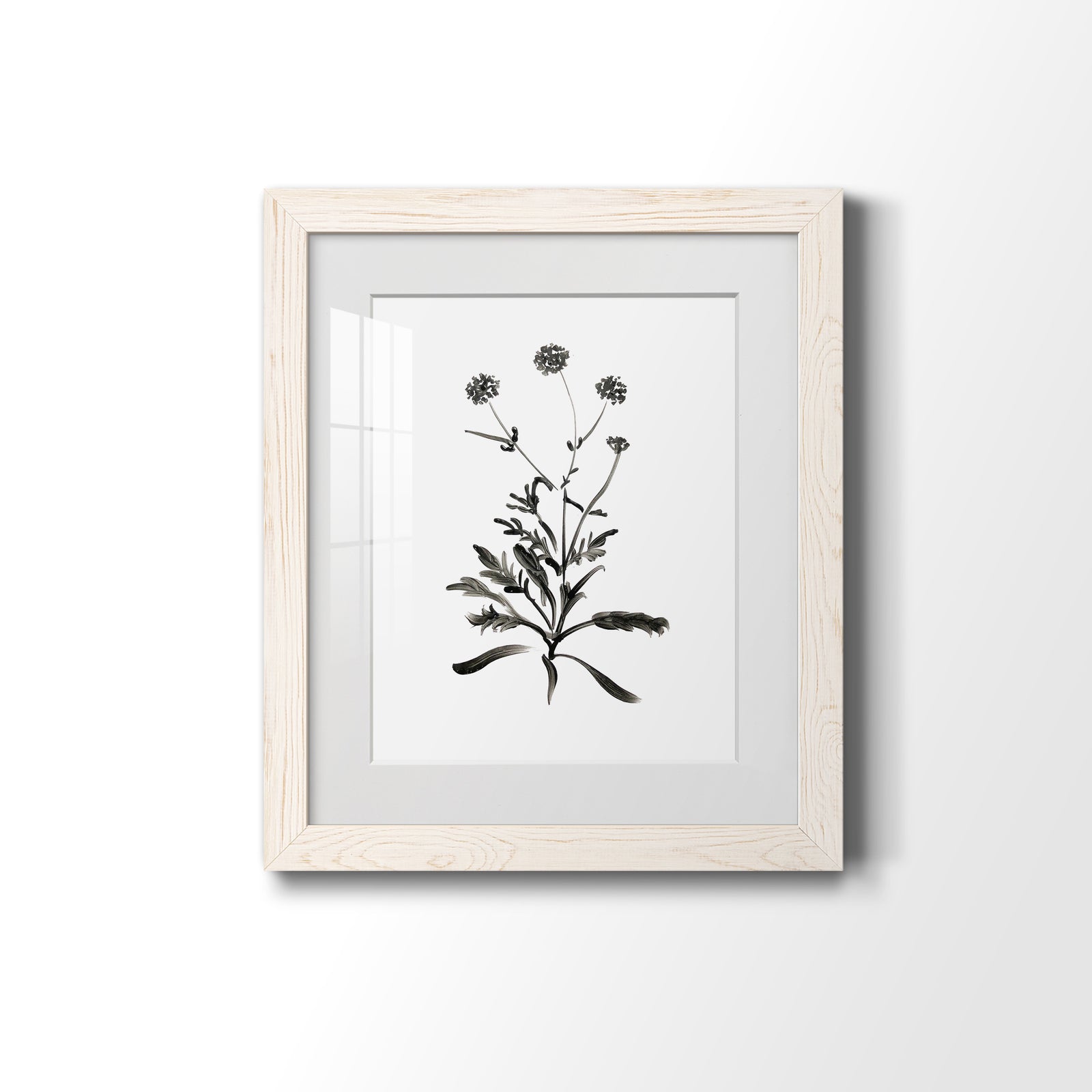 Inky Botanical I - Barnwood Framed Art Print