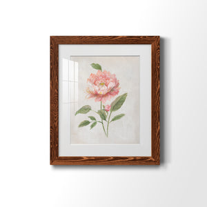 Grandiflora III - Barnwood Framed Art Print