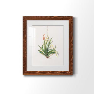 Gardenaire I - Barnwood Framed Art Print