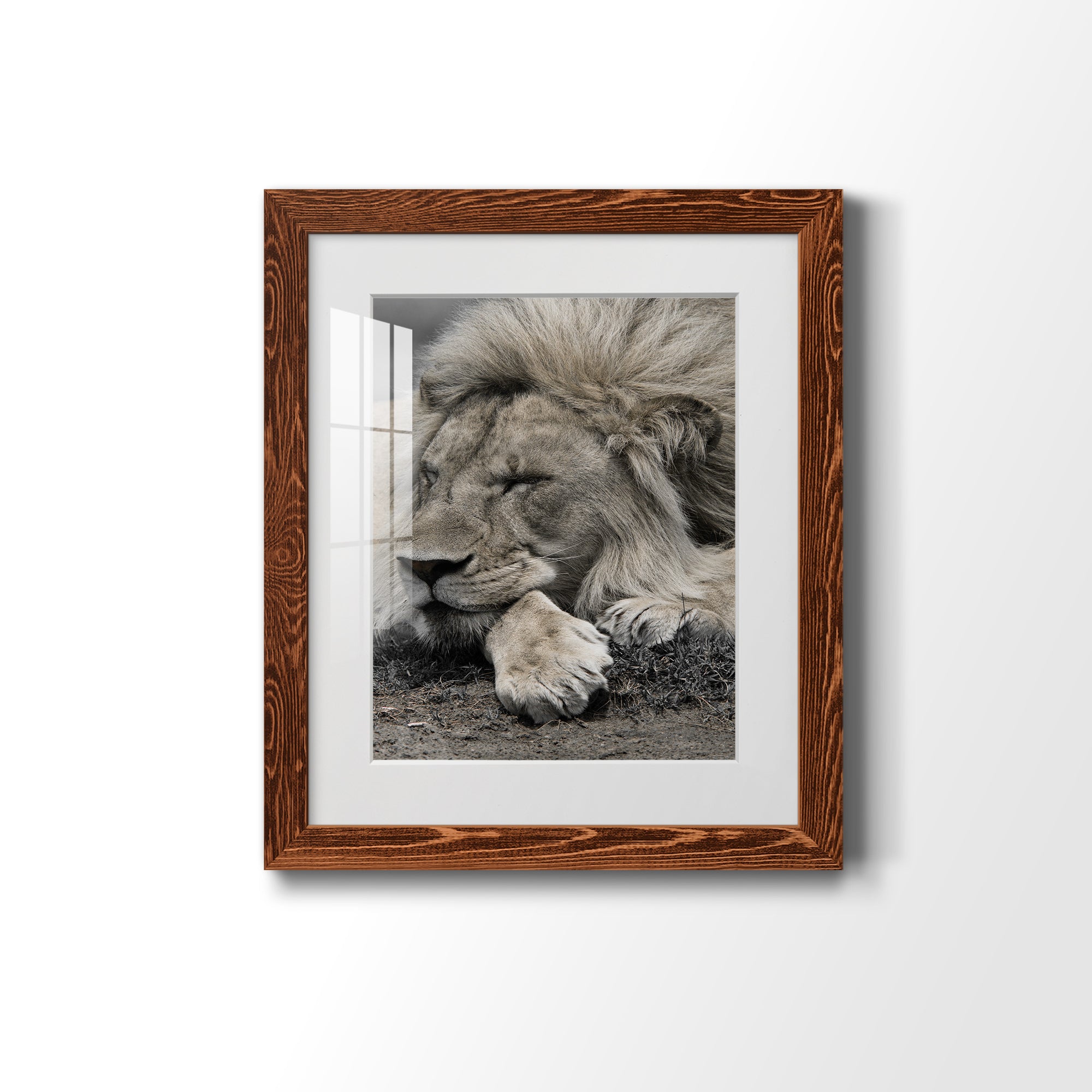 Sleepy Afternoon in Masai Mara - Barnwood Framed Art Print
