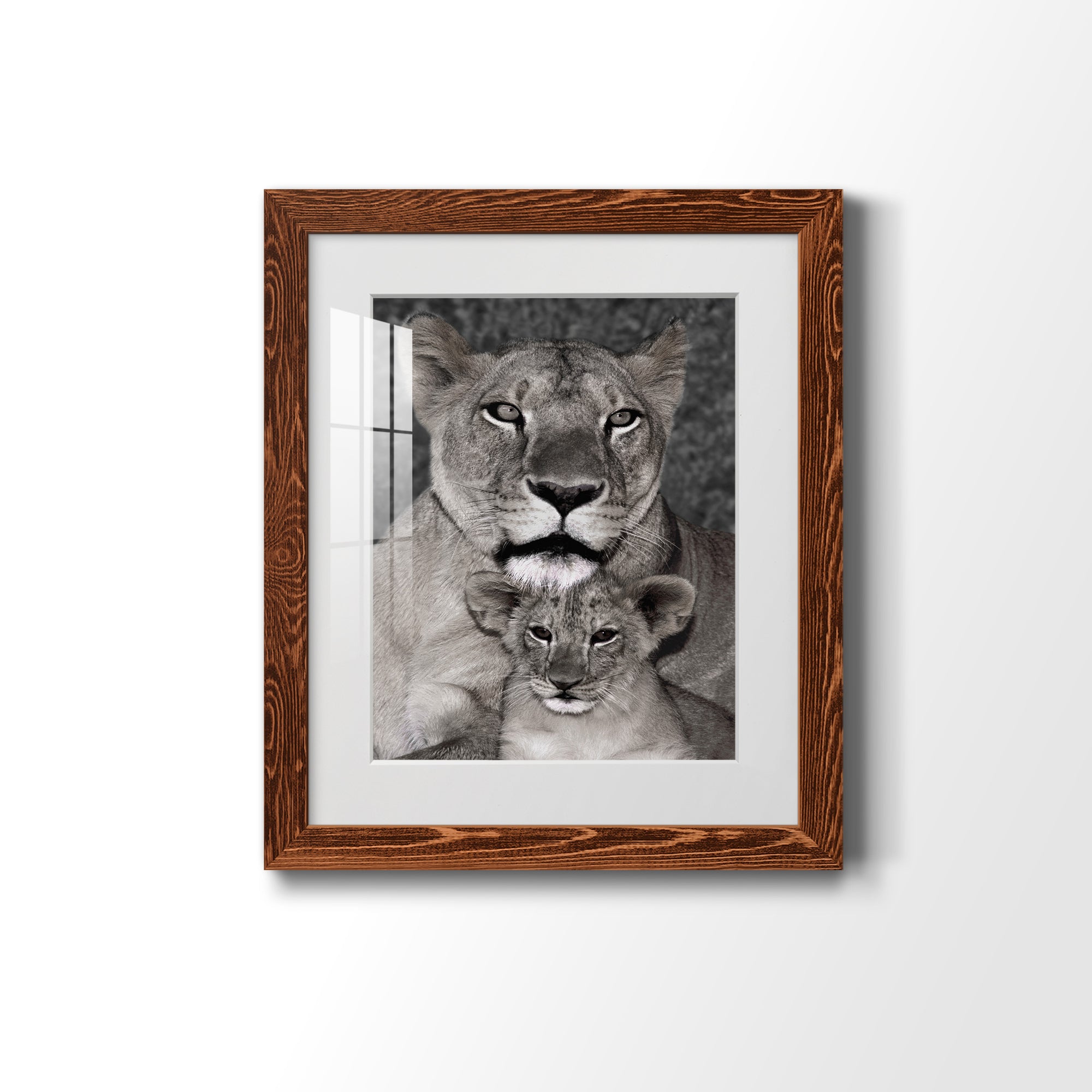 Lioness and Cub - Barnwood Framed Art Print