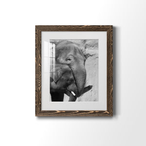 Tender Moment - Barnwood Framed Art Print