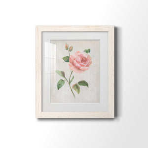 Grandiflora I - Barnwood Framed Art Print