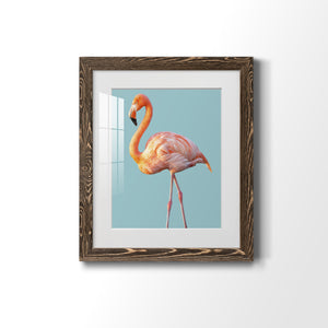 Flamingo - Barnwood