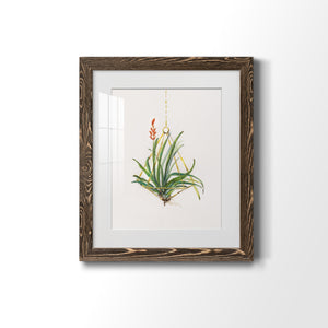 Gardenaire I - Barnwood Framed Art Print