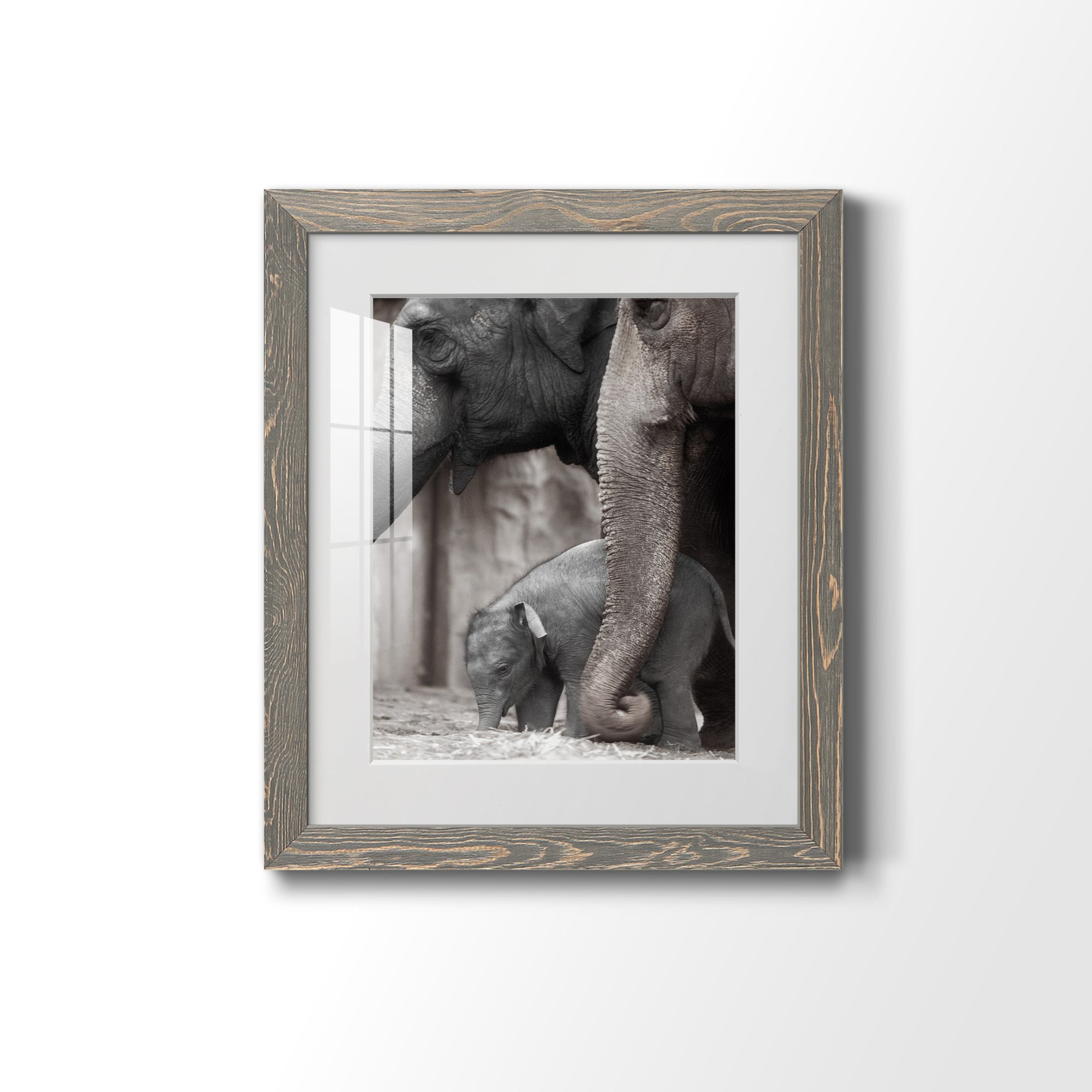 Family Moment - Barnwood Framed Art Print