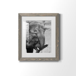 Tender Moment - Barnwood Framed Art Print