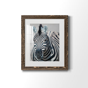 Namibia Zebra - Premium Framed Print - Distressed Barnwood Frame - Ready to Hang