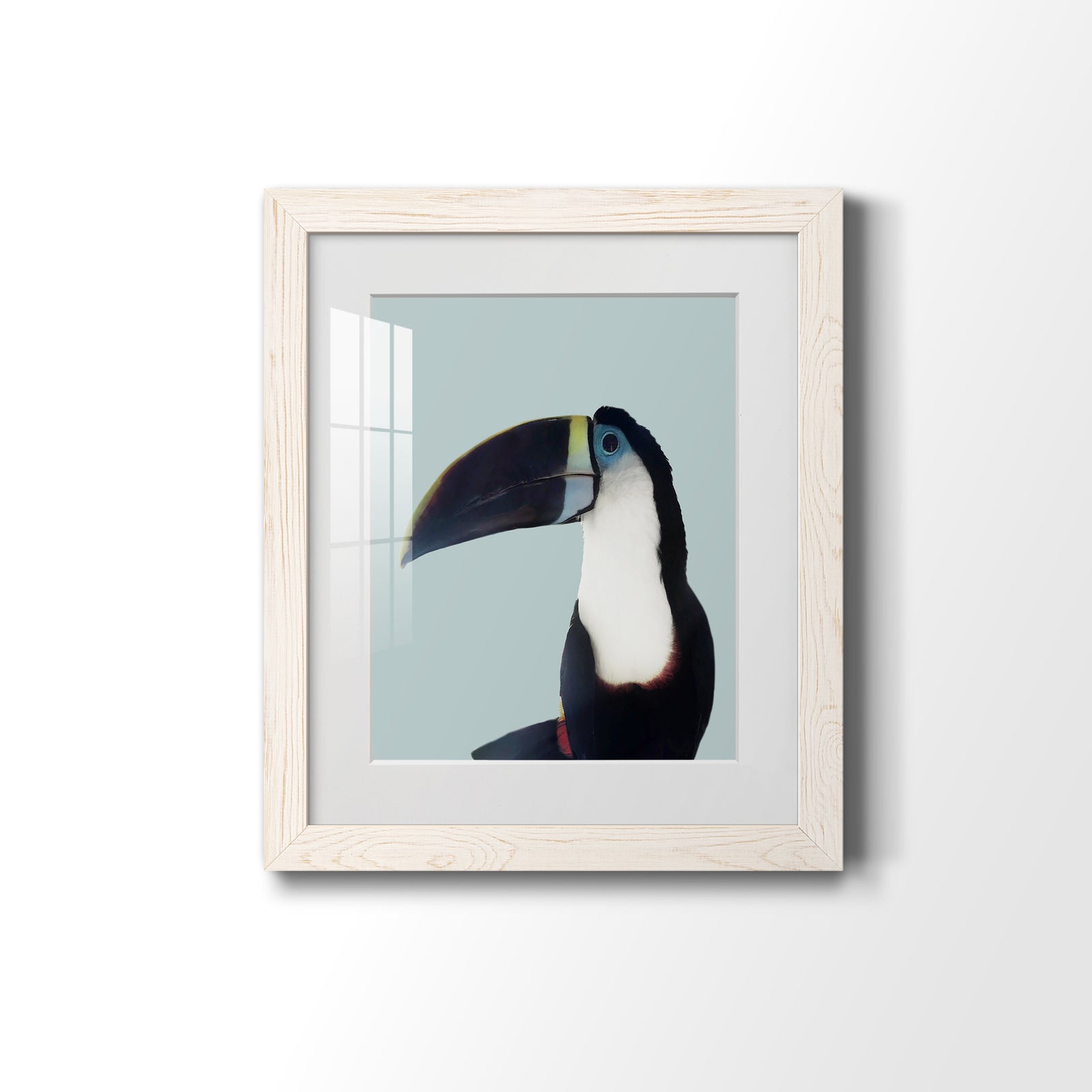 Aruba Wildlife - Barnwood