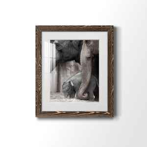 Family Moment - Barnwood Framed Art Print
