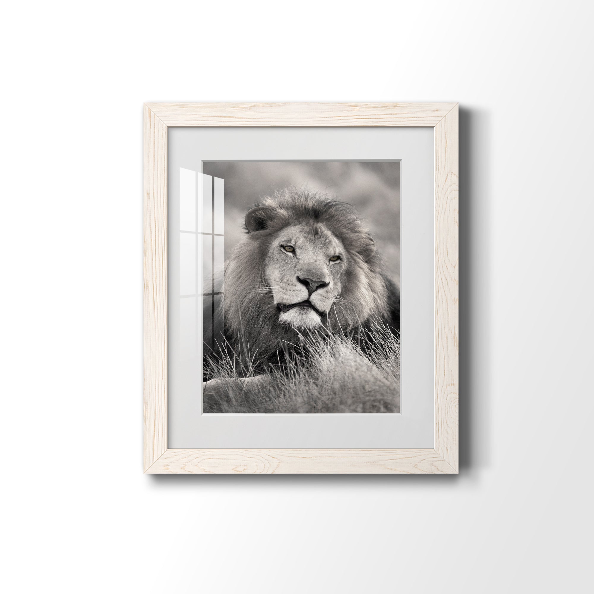 Pride of the Pride - Barnwood Framed Art Print