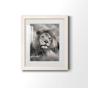 Pride of the Pride - Barnwood Framed Art Print