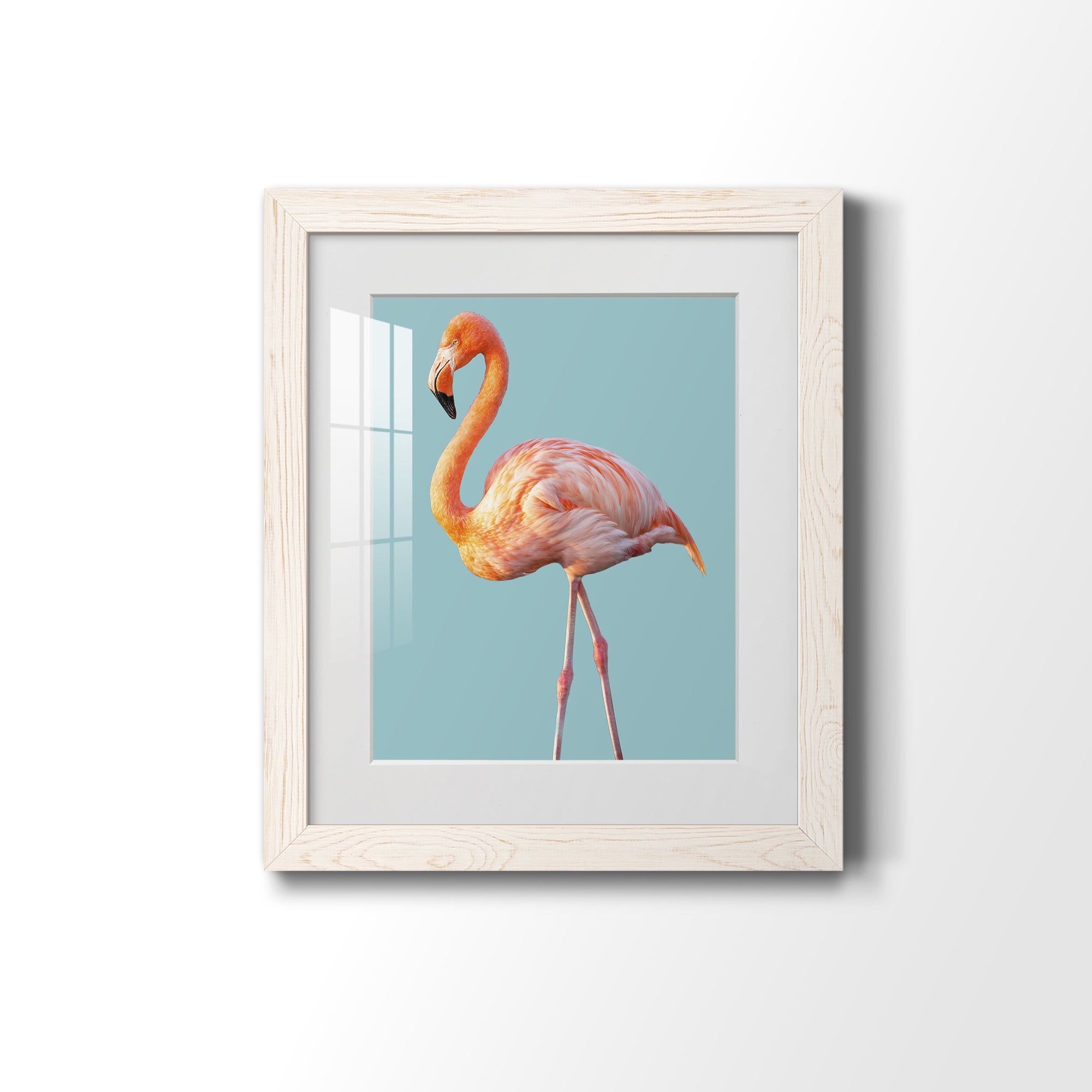 Flamingo - Barnwood