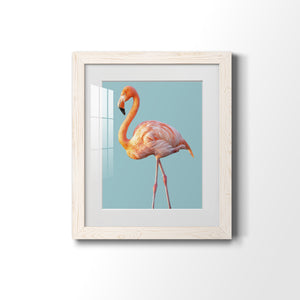 Flamingo - Barnwood