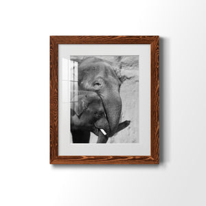 Tender Moment - Barnwood Framed Art Print