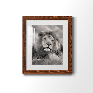 Pride of the Pride - Barnwood Framed Art Print