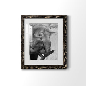 Tender Moment - Barnwood Framed Art Print