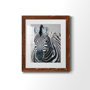 Namibia Zebra - Premium Framed Print - Distressed Barnwood Frame - Ready to Hang