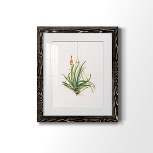 Gardenaire I - Barnwood Framed Art Print
