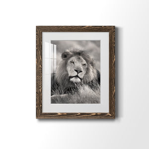 Pride of the Pride - Barnwood Framed Art Print