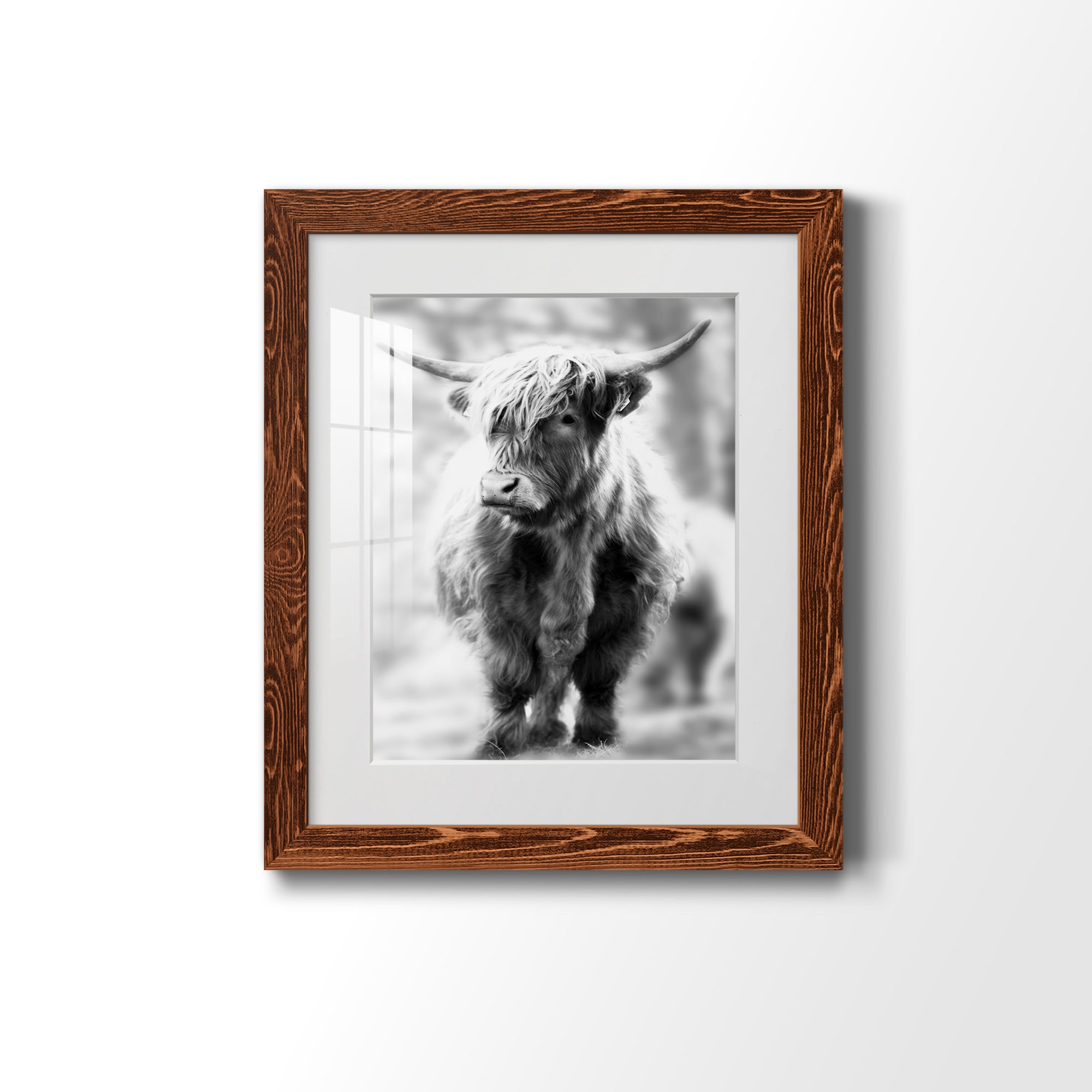 Yorkshire Highland - Premium Framed Print - Distressed Barnwood Frame - Ready to Hang