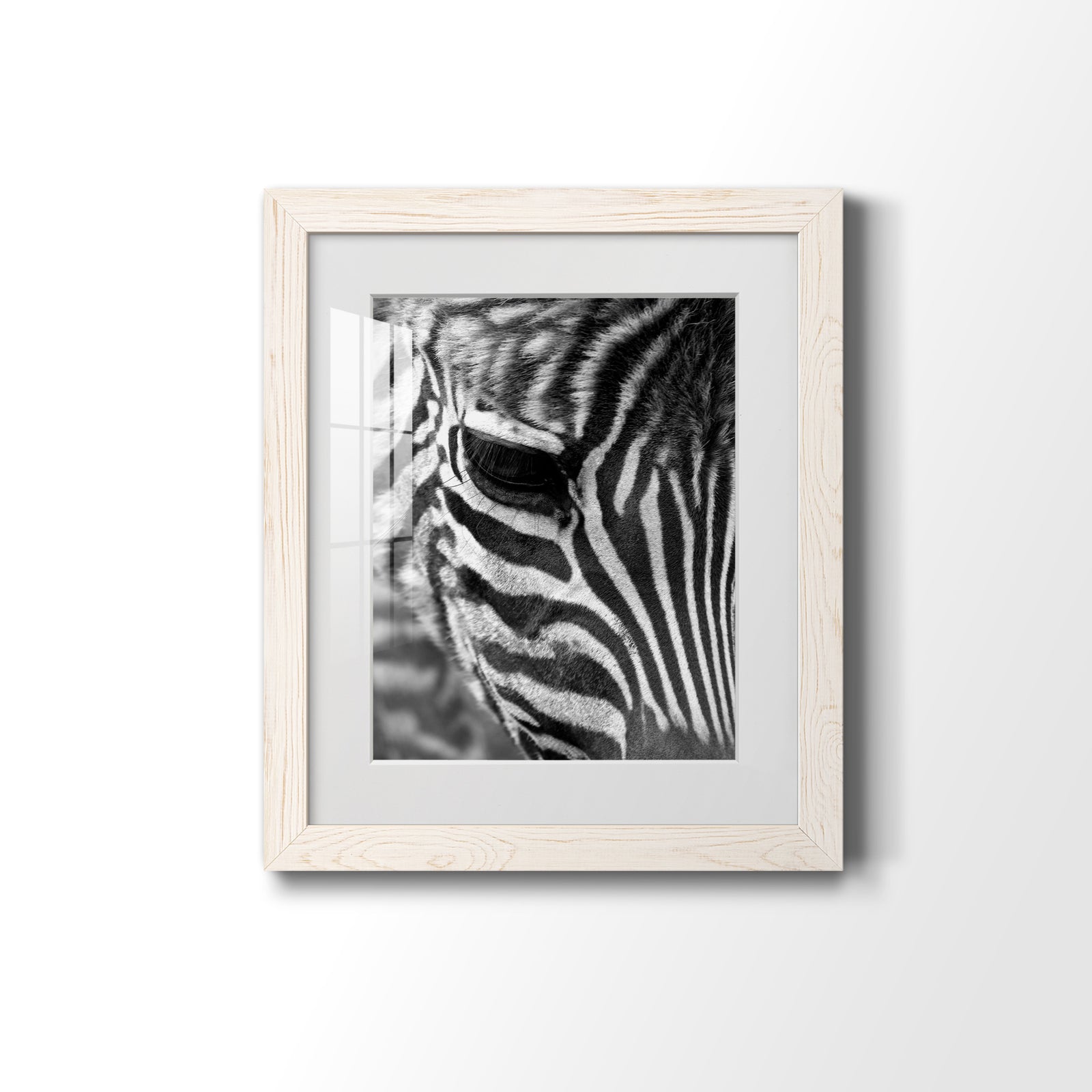 Zebra Colt - Barnwood Framed Art Print