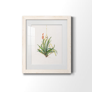 Gardenaire I - Barnwood Framed Art Print