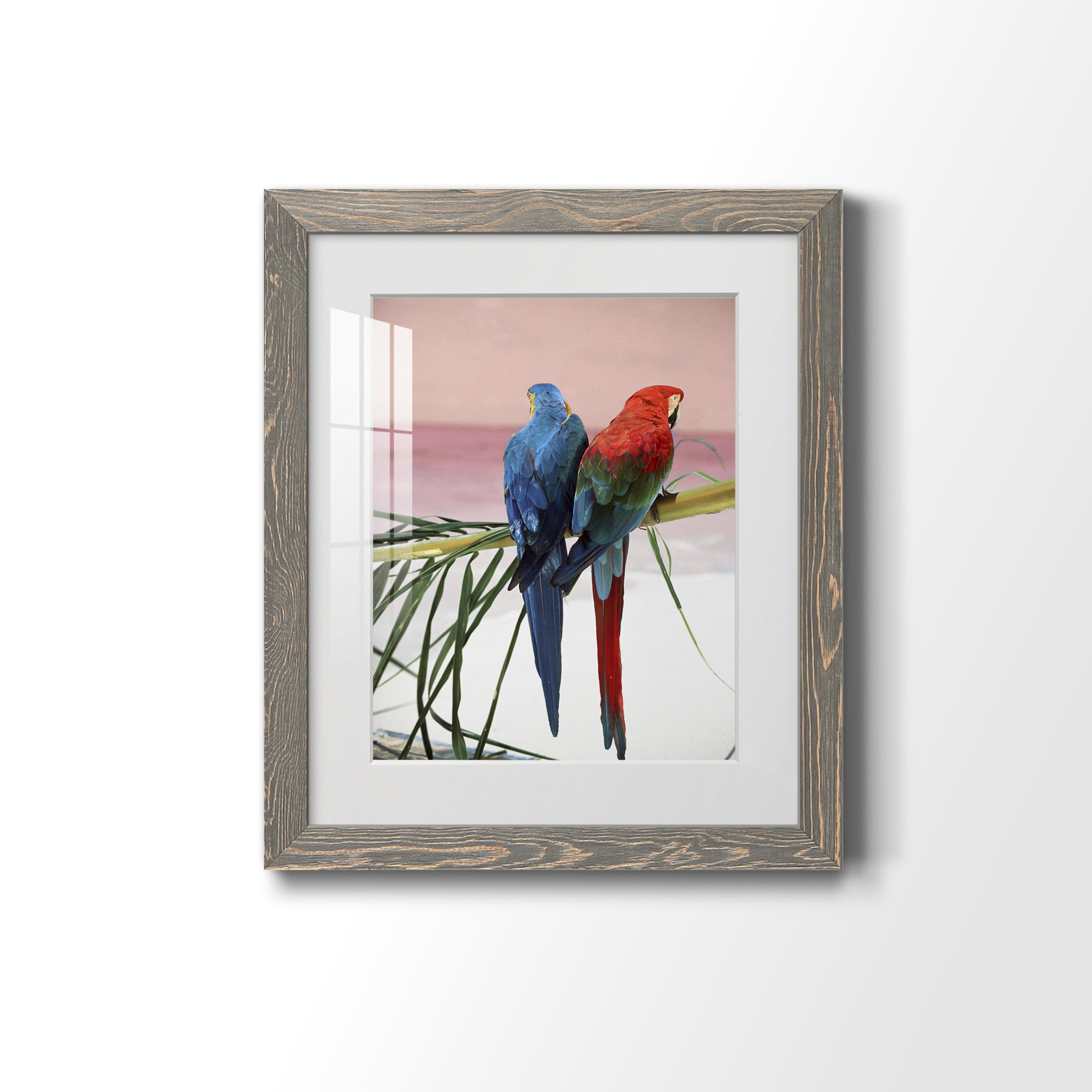 Palm Parrots - Barnwood