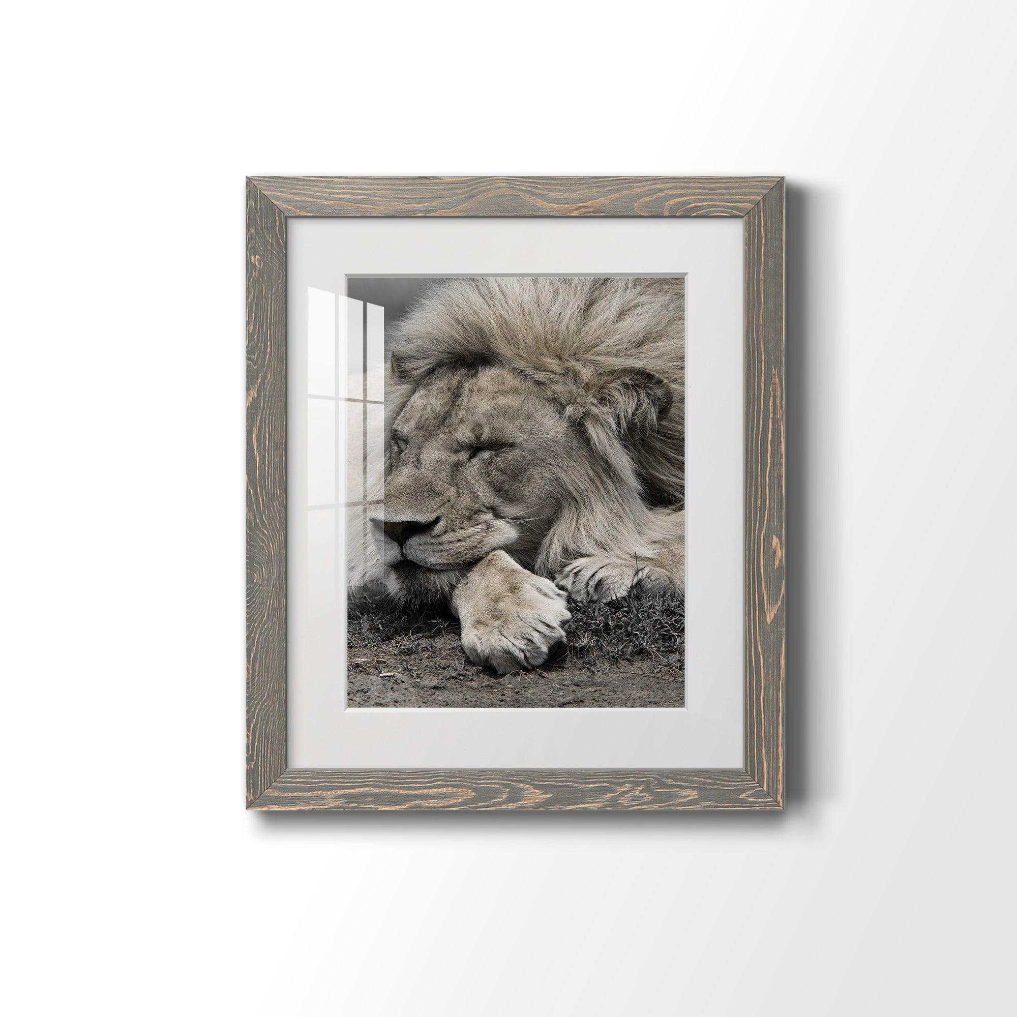 Sleepy Afternoon in Masai Mara - Barnwood Framed Art Print