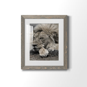 Sleepy Afternoon in Masai Mara - Barnwood Framed Art Print