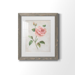 Grandiflora I - Barnwood Framed Art Print