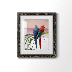 Palm Parrots - Barnwood