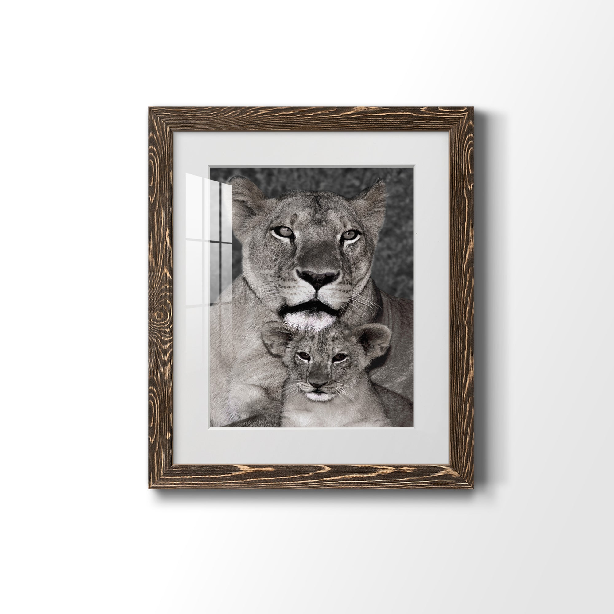 Lioness and Cub - Barnwood Framed Art Print