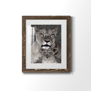 Lioness and Cub - Barnwood Framed Art Print