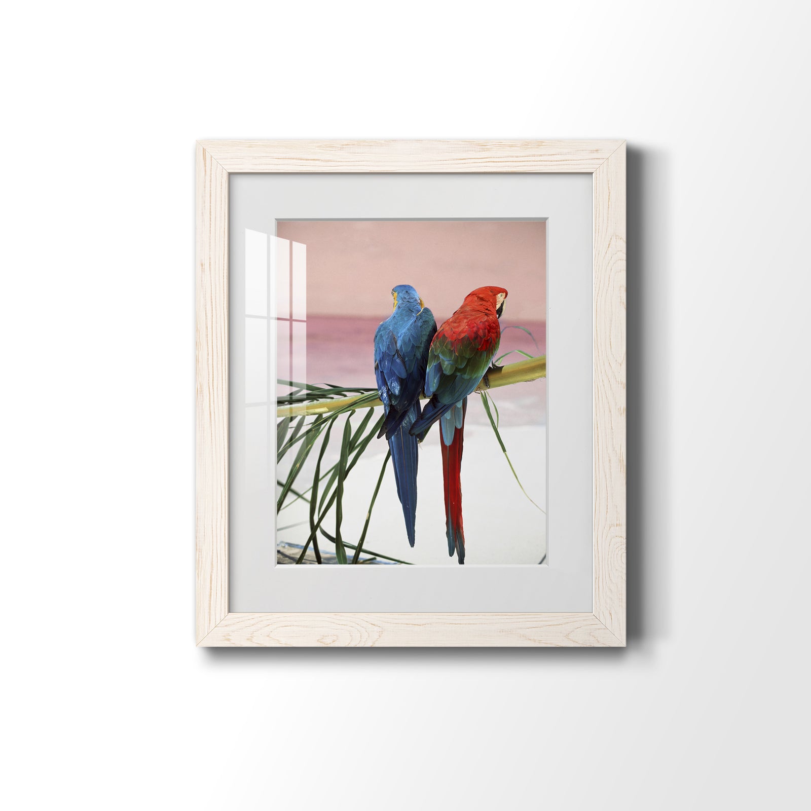 Palm Parrots - Barnwood