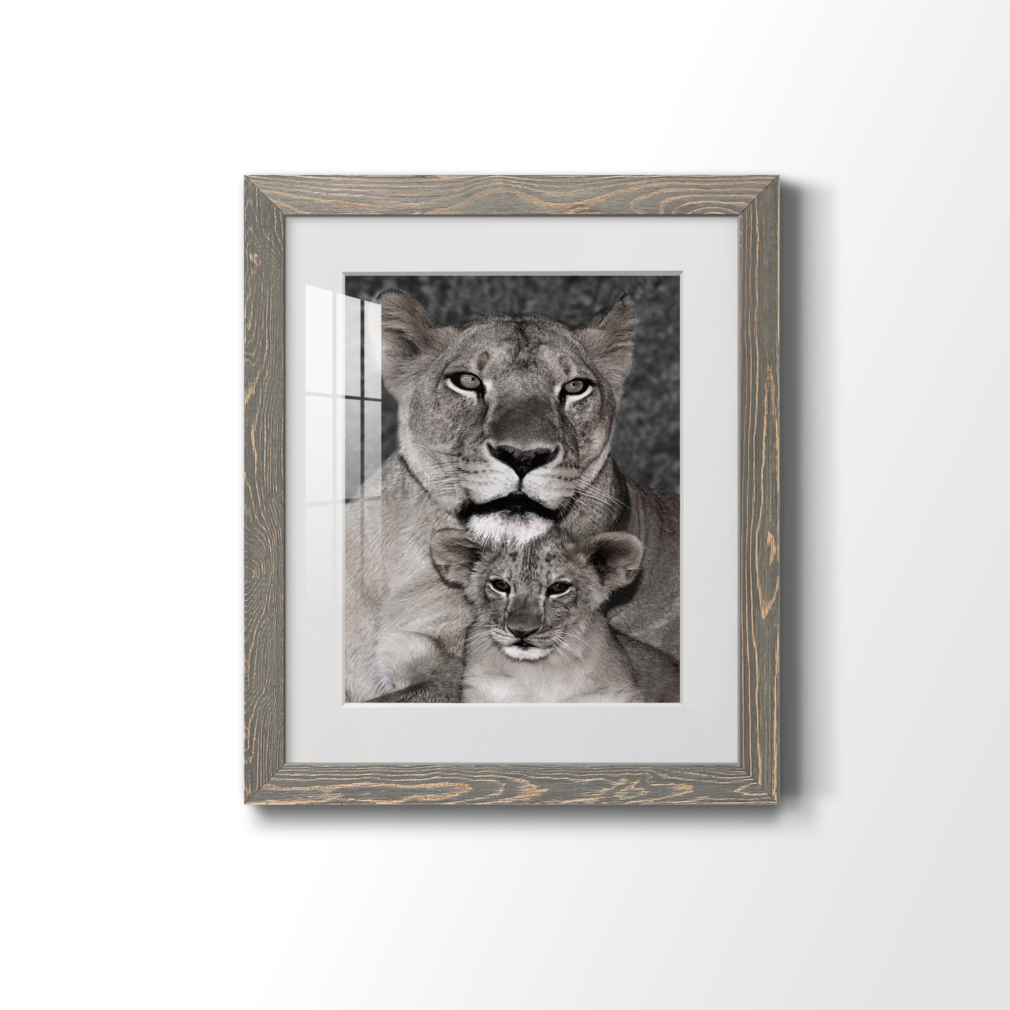 Lioness and Cub - Barnwood Framed Art Print