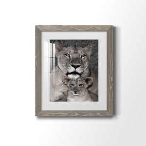 Lioness and Cub - Barnwood Framed Art Print